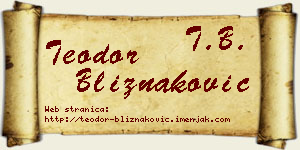 Teodor Bliznaković vizit kartica